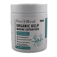 Paw & Heal - Organic Kelp Powder For Thyroid Function, Dental Health - 120g
